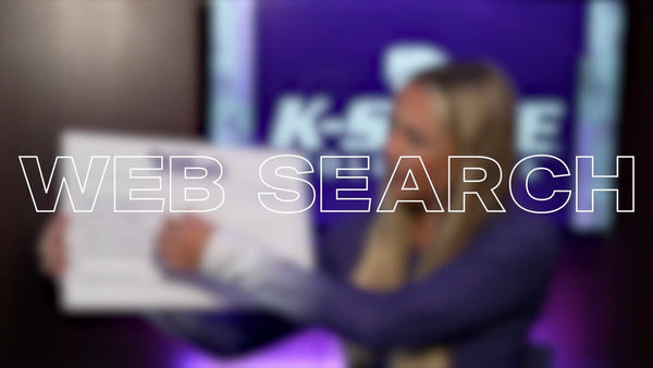 VB | Web Search - Reagan Fox